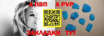 кокс Кингисепп