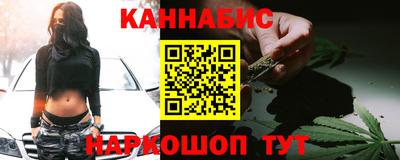 кокс Кингисепп