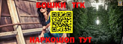 кокс Кингисепп