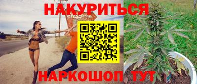 кокс Кингисепп