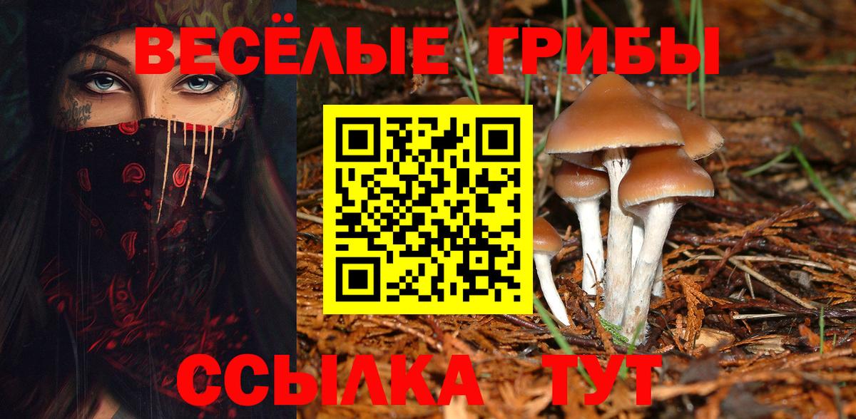 Галлюциногенные грибы Magic Shrooms Тара