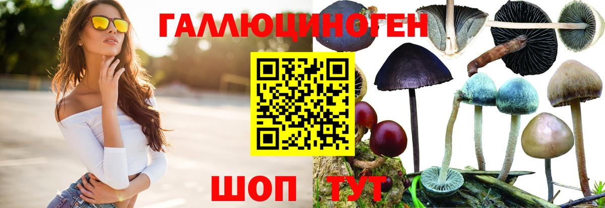 Галлюциногенные грибы Psilocybe  Вход с VPN  Псилоцибиновые грибы Cubensis  Тара 