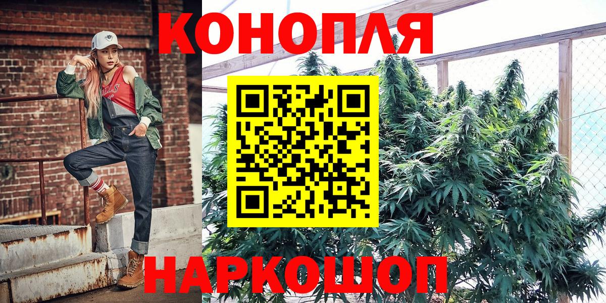 Канабис сатива  Вход с VPN  Тара  Канабис SATIVA & INDICA  Конопля план 